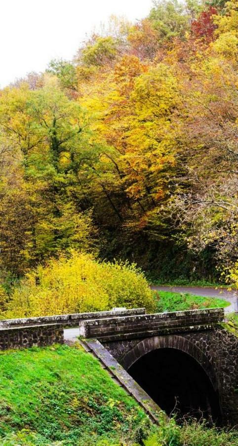 Chambres D'Hotes Le Peyroux Montcel  Dış mekan fotoğraf